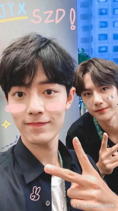 肖战王一博最新八个爆料,揭秘最新八个爆料，精彩瞬间尽收眼底